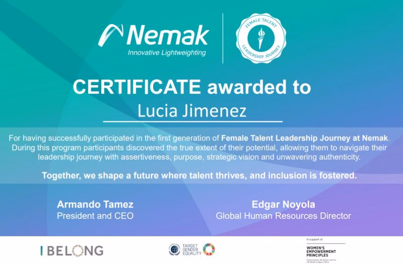 Kto jest właścicielem Nemak?