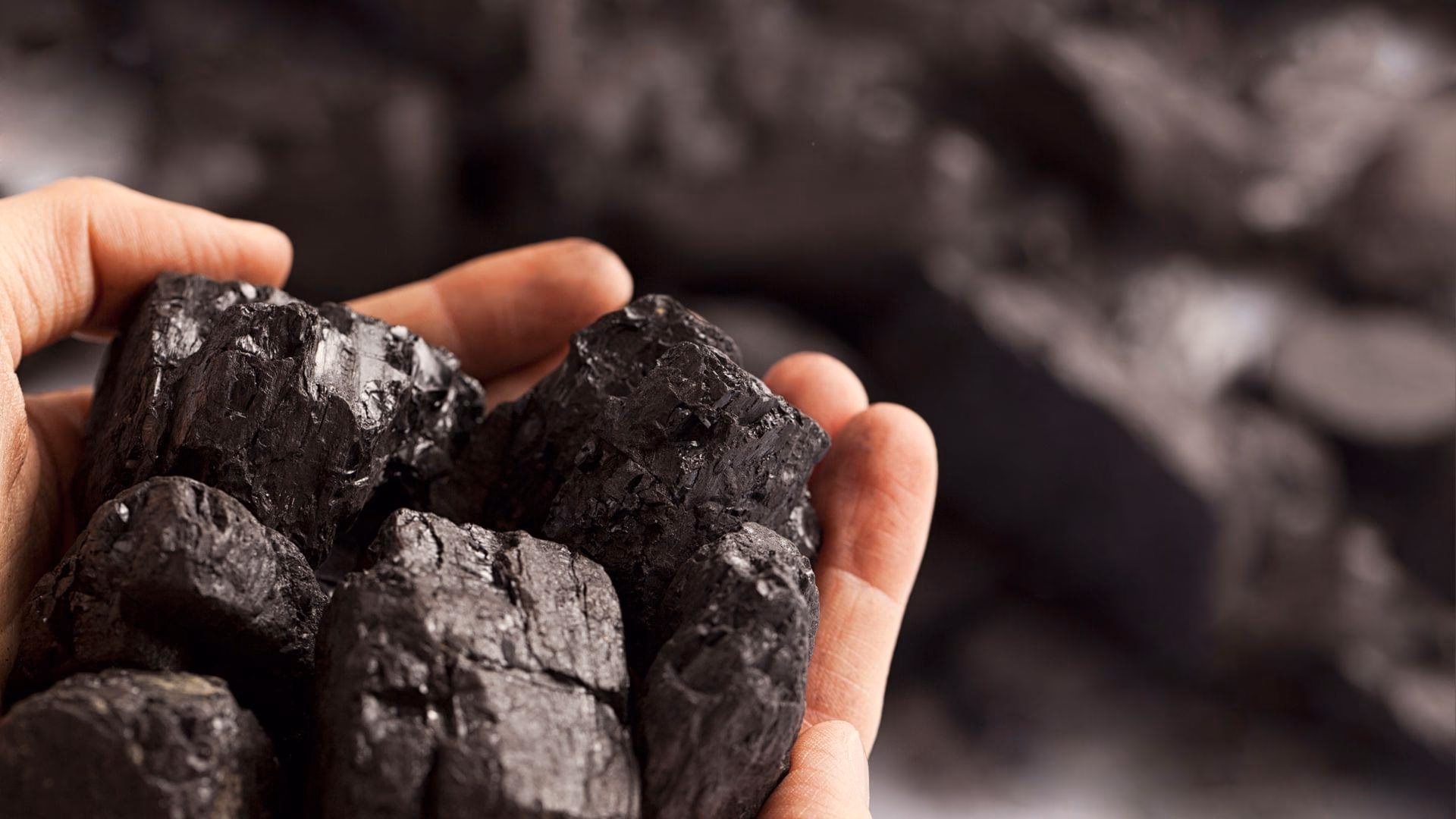Czy każdy może handlować węglem?
