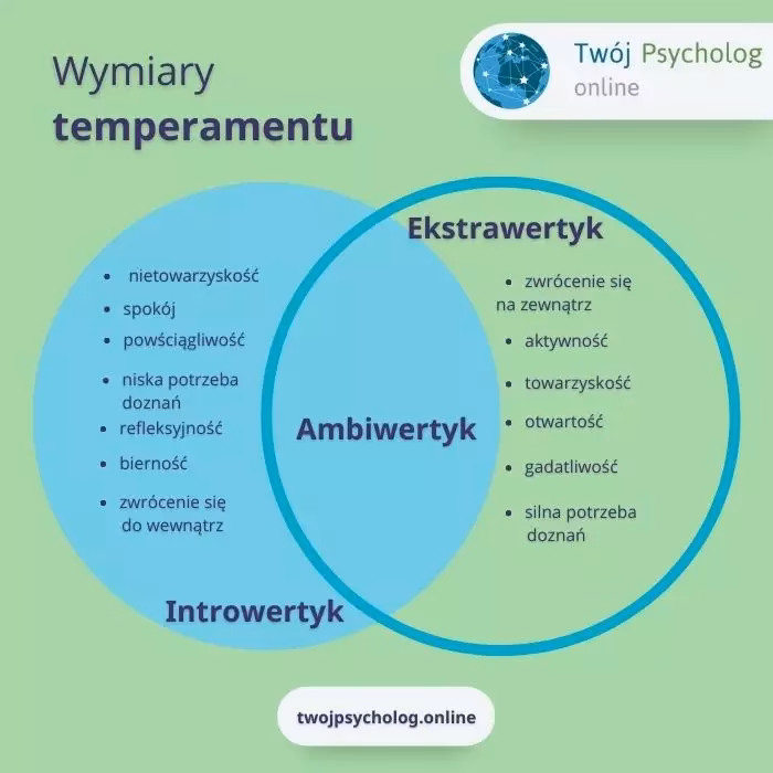 Czego boi się introwertyk?