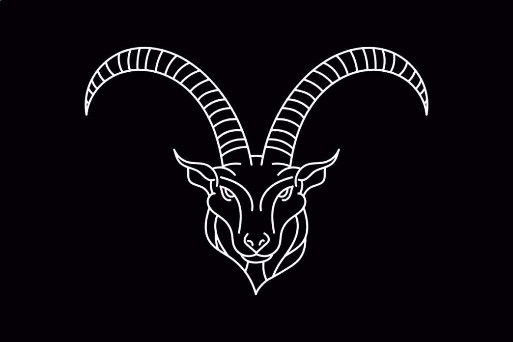 Jaki zawód dla Koziorożca?