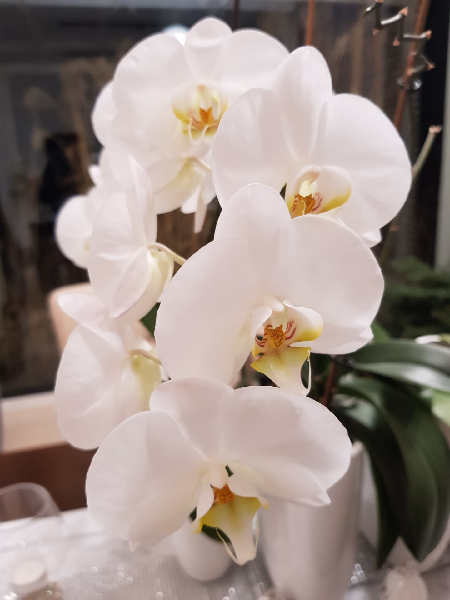 Czy zakup kwiatów do biura jest kosztem?