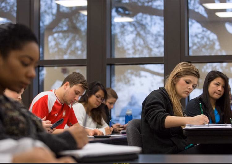 Czy Lamar ma dobry program księgowy?