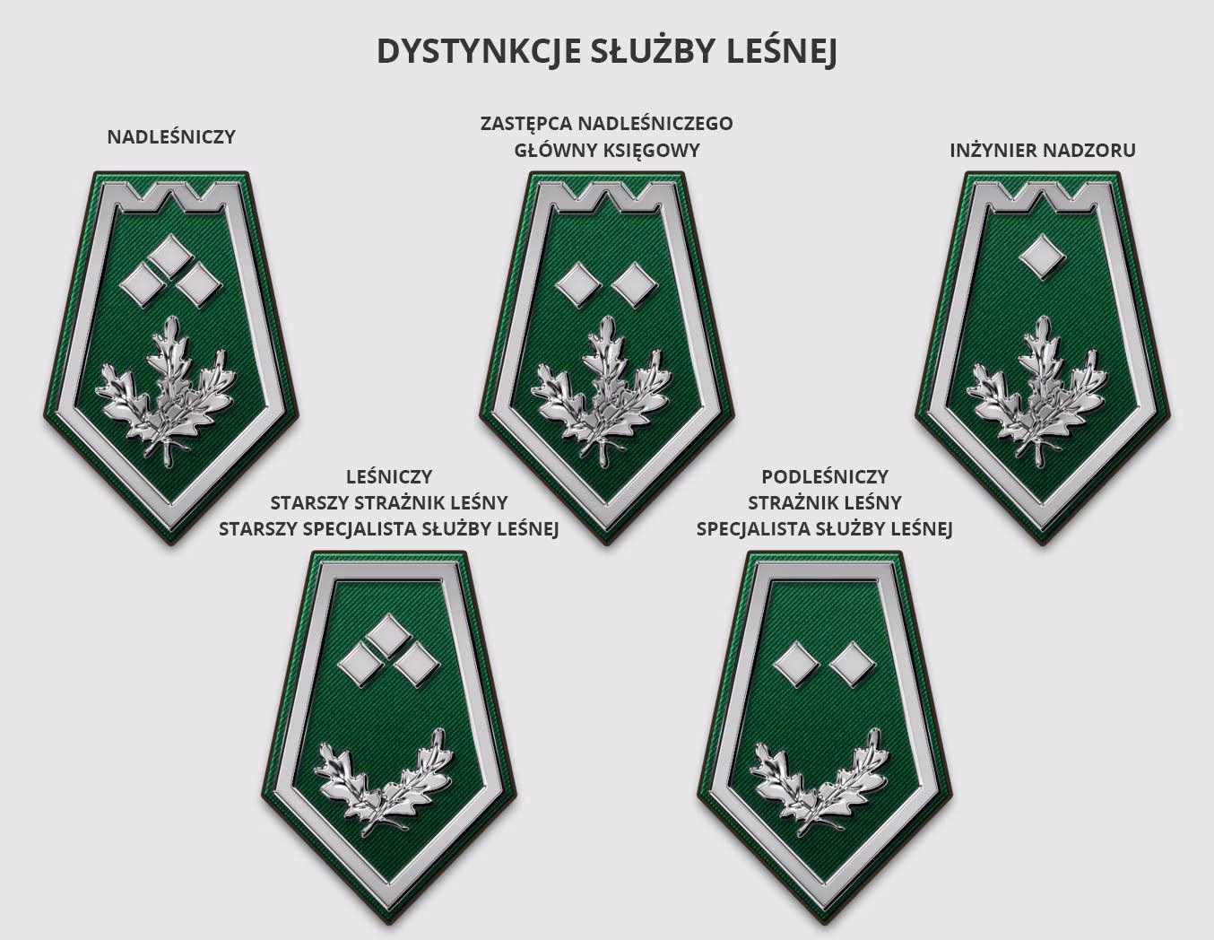 Kto finansuje Lasy Państwowe?