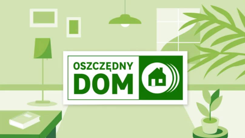 Co znaczy po polsku Leroy Merlin?