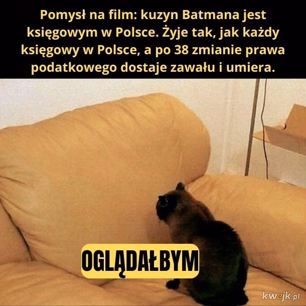 Czy koty tęsknią za rodzicami?