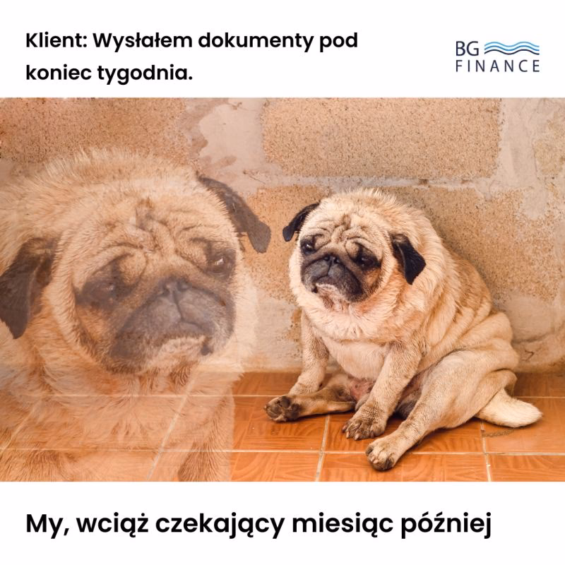 Czy MOPS to budżetówka?