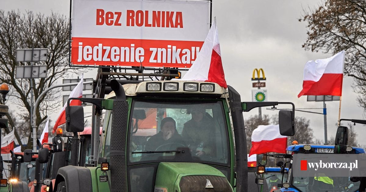 Ile zarabia prezes MPK Łódź?