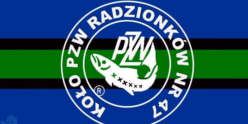 Ile kosztuje zezwolenie PZW na cały rok?