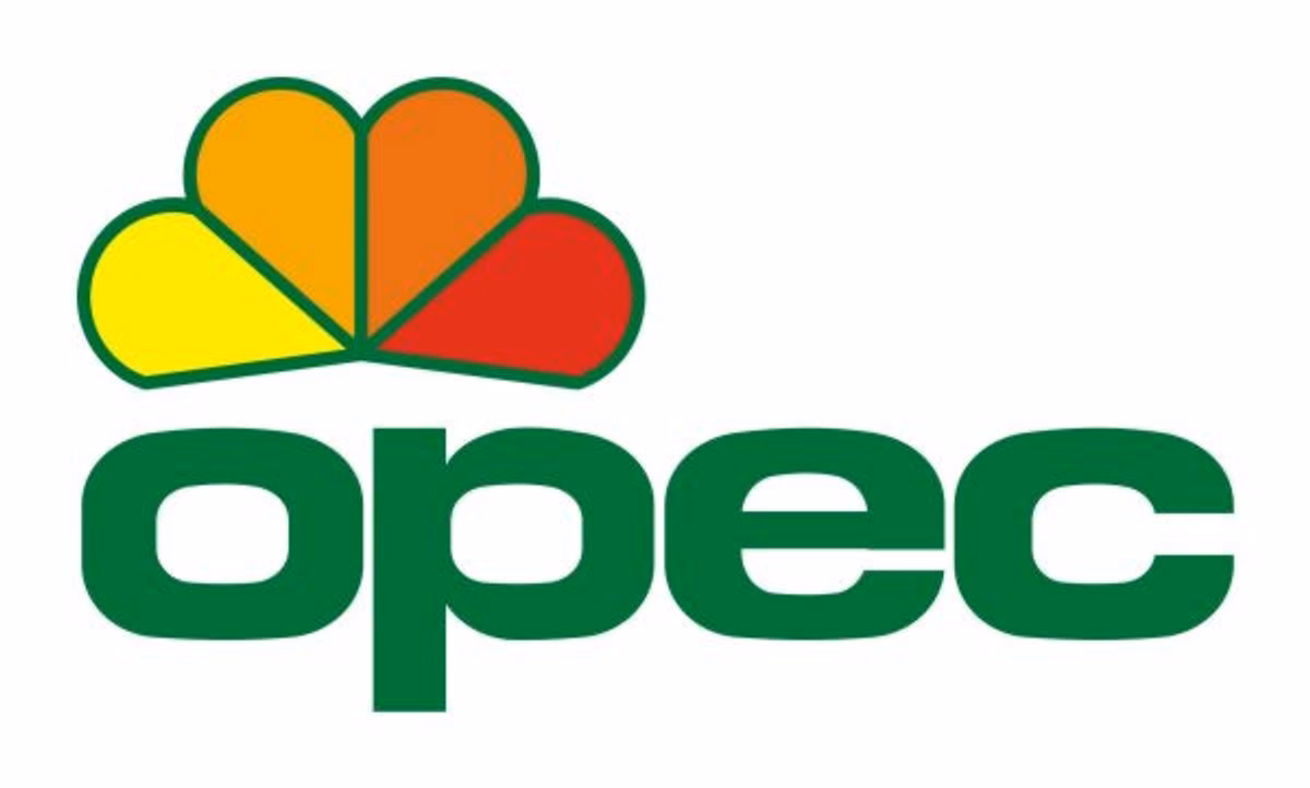 Jak czytać OPEC?