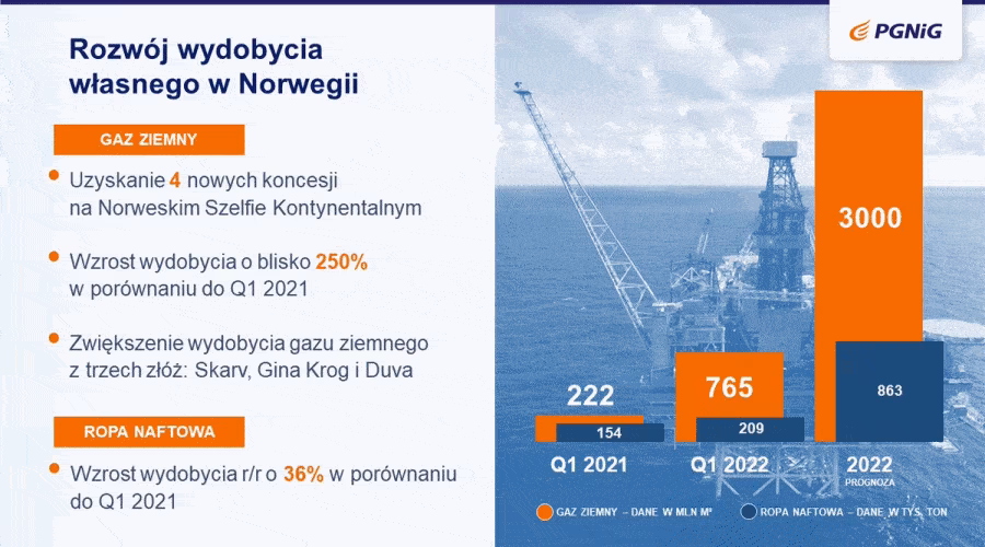 Kto ma udziały w PGNiG?