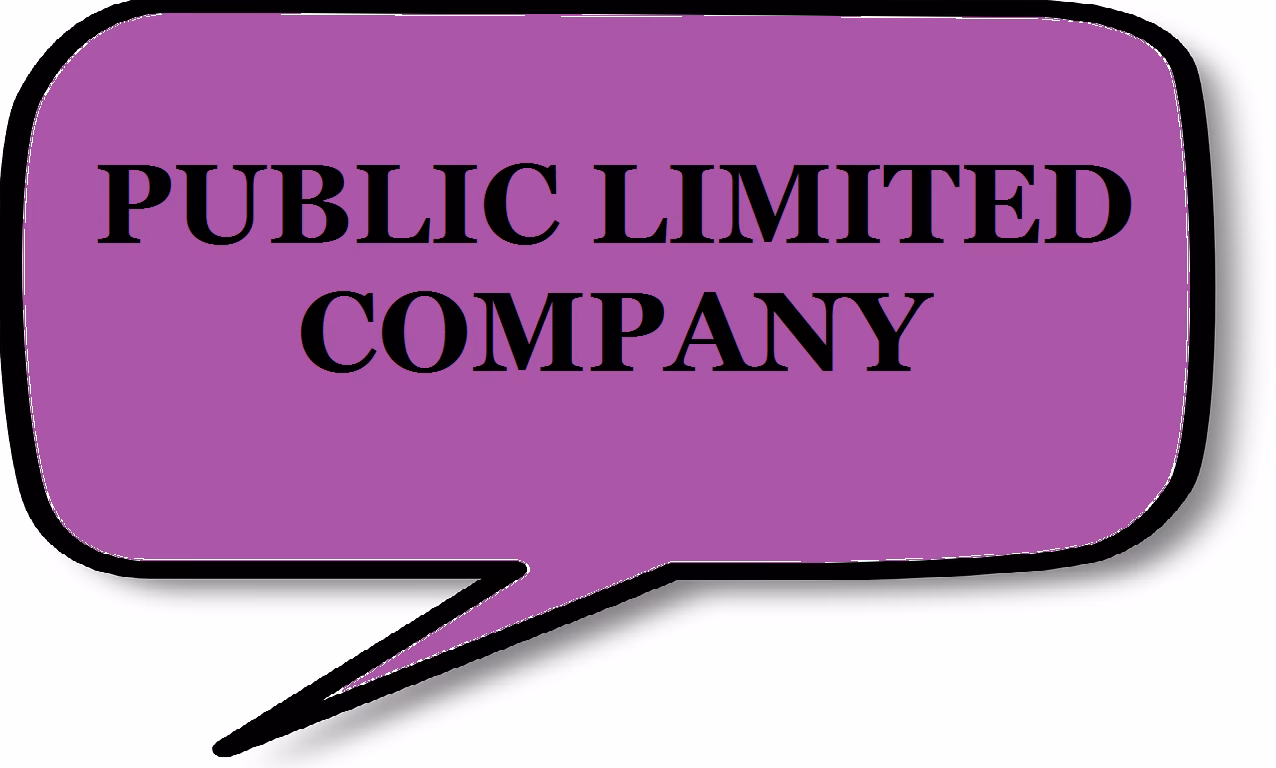 Co oznacza skrót PD po angielsku?