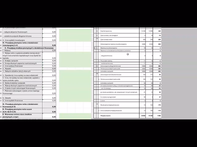 Czym są inne przepływy pieniężne z działalności operacyjnej?