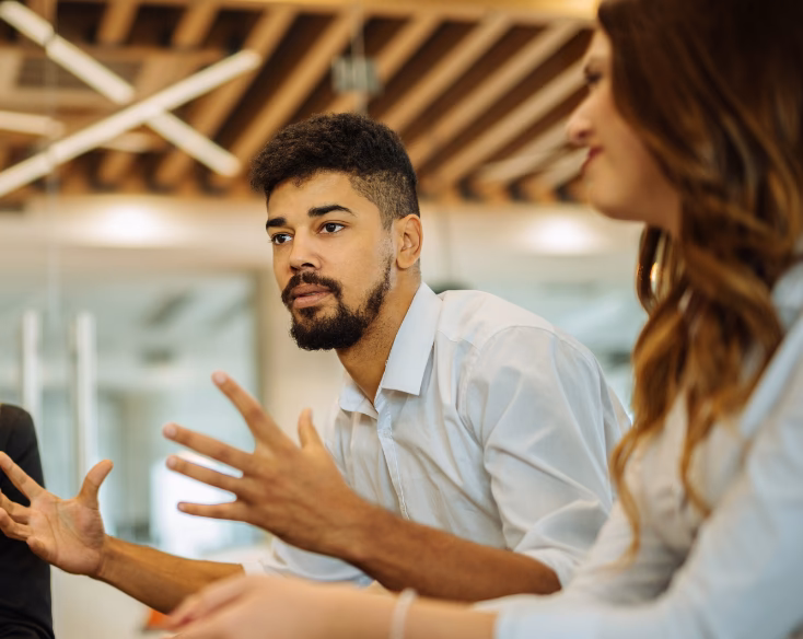 What is Psre in auditing?