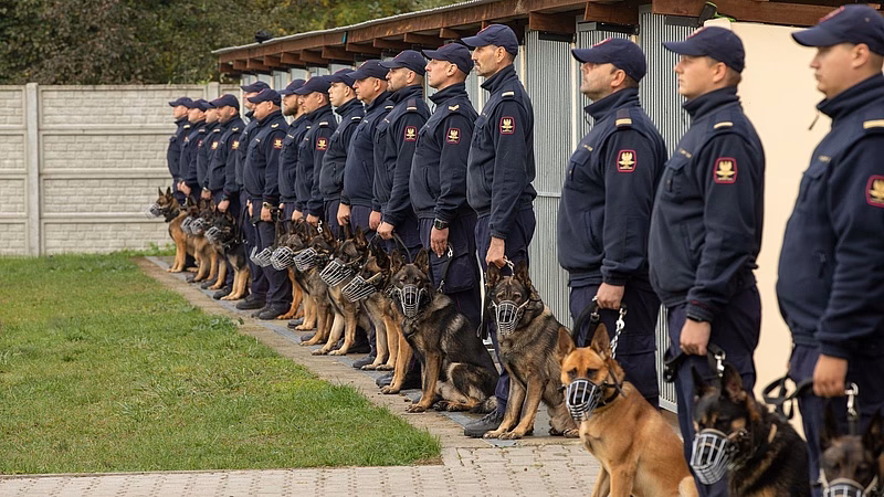 Jaki jest najgroźniejszy pies w Polsce?