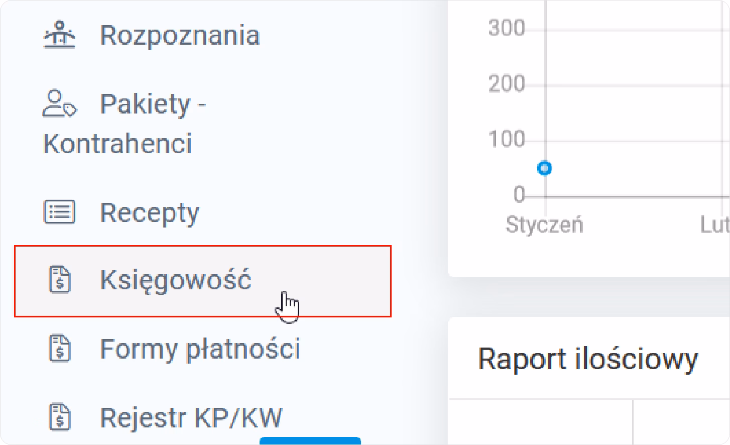 Jak utworzyć raport księgowy?