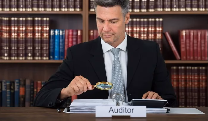 Czym jest biblioteka audytu różnorodności?