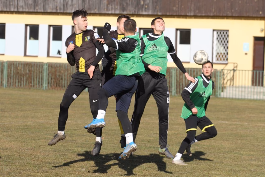 Na co pomaga siarka w organizmie?