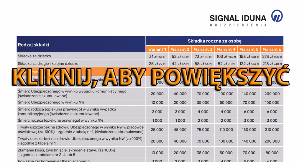 Ile się czeka na odszkodowanie z SIGNAL IDUNA?