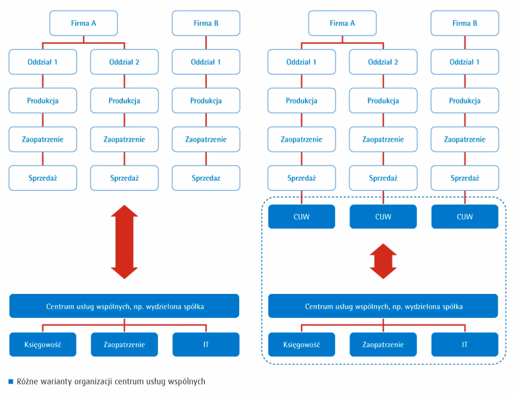 Na czym polega proces kontroli sox?