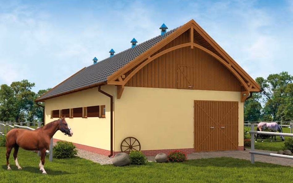 Ile terenu potrzebuje koń?