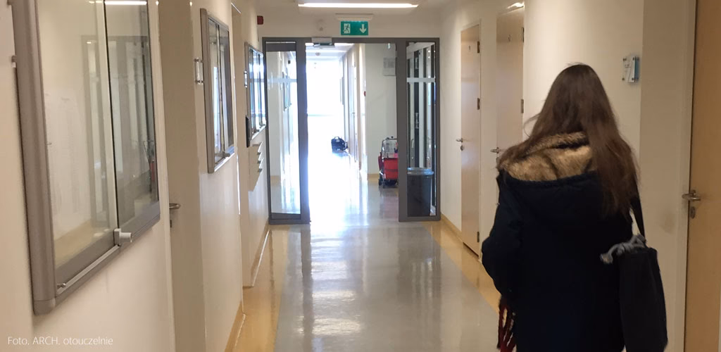 Czy audytor musi mieć studia?