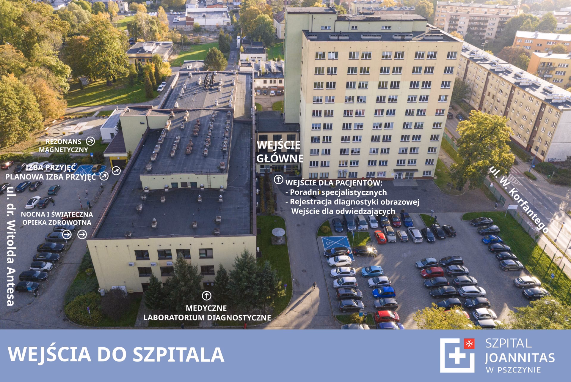 Kto jest ordynatorem ginekologii w Pszczynie?