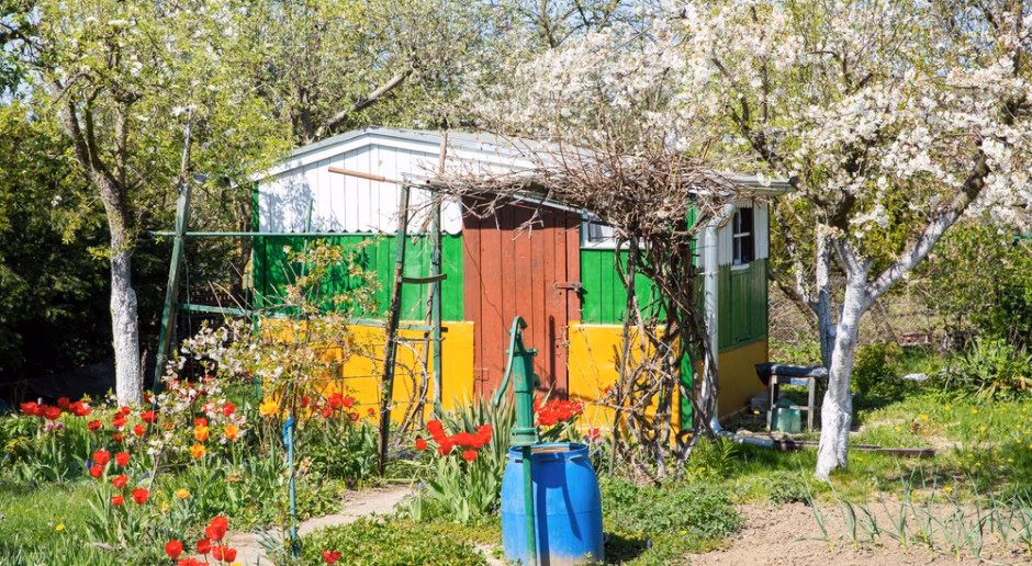 Co będzie dalej z rodzinnymi ogrodami działkowymi?