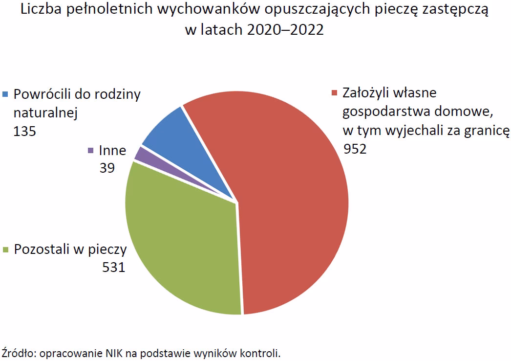Na czym polega opiekun usamodzielnienia?