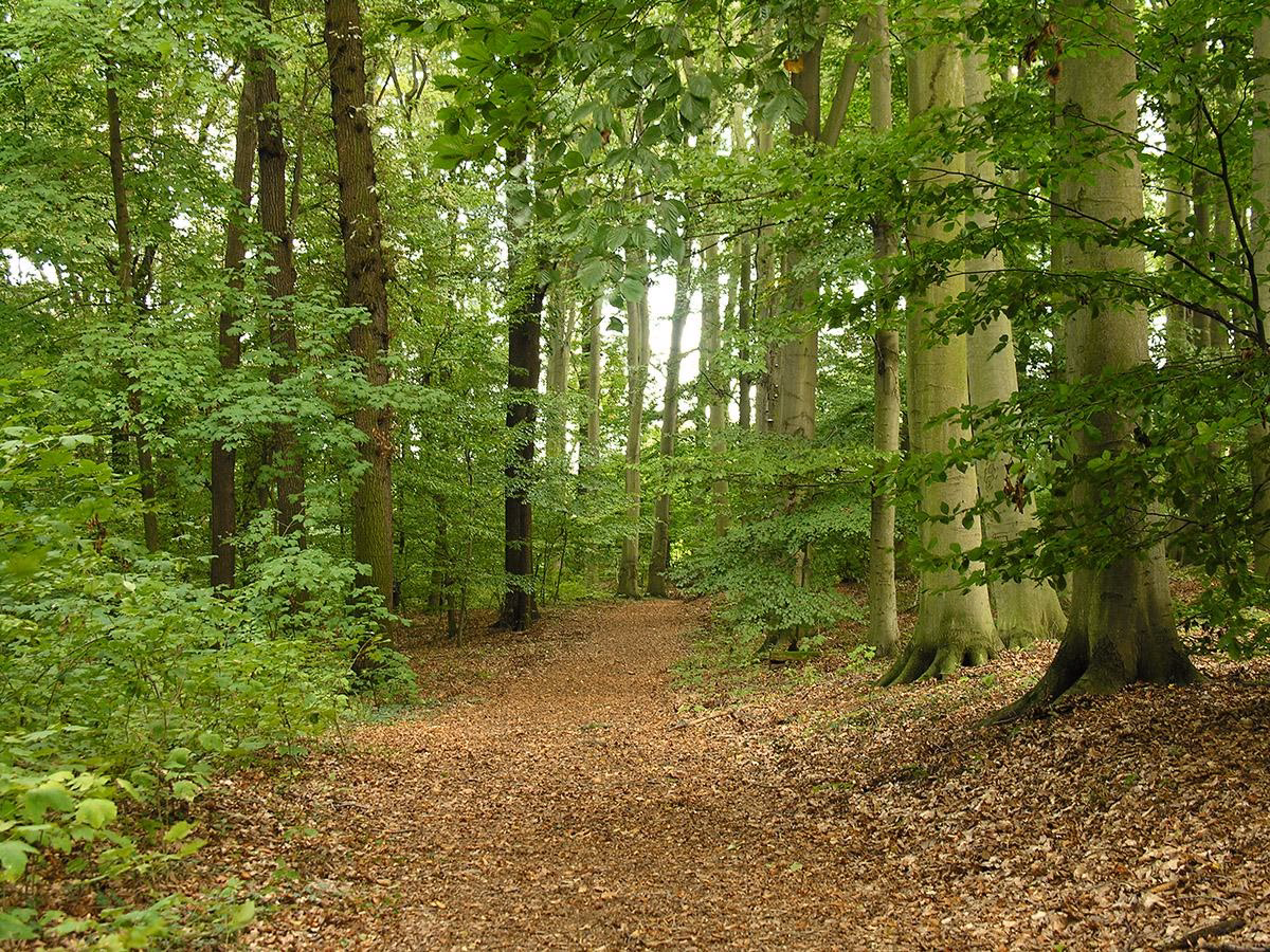 Ile zespołów przyrodniczo-krajobrazowych jest w Polsce?