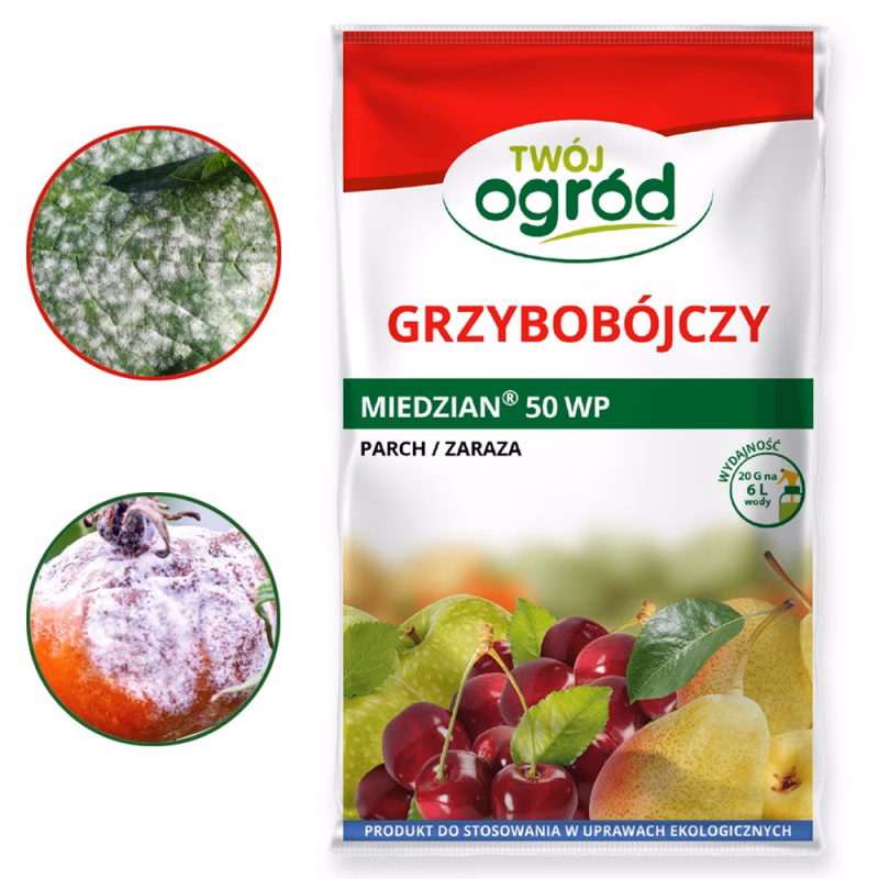 Czy myjnia to usługa?