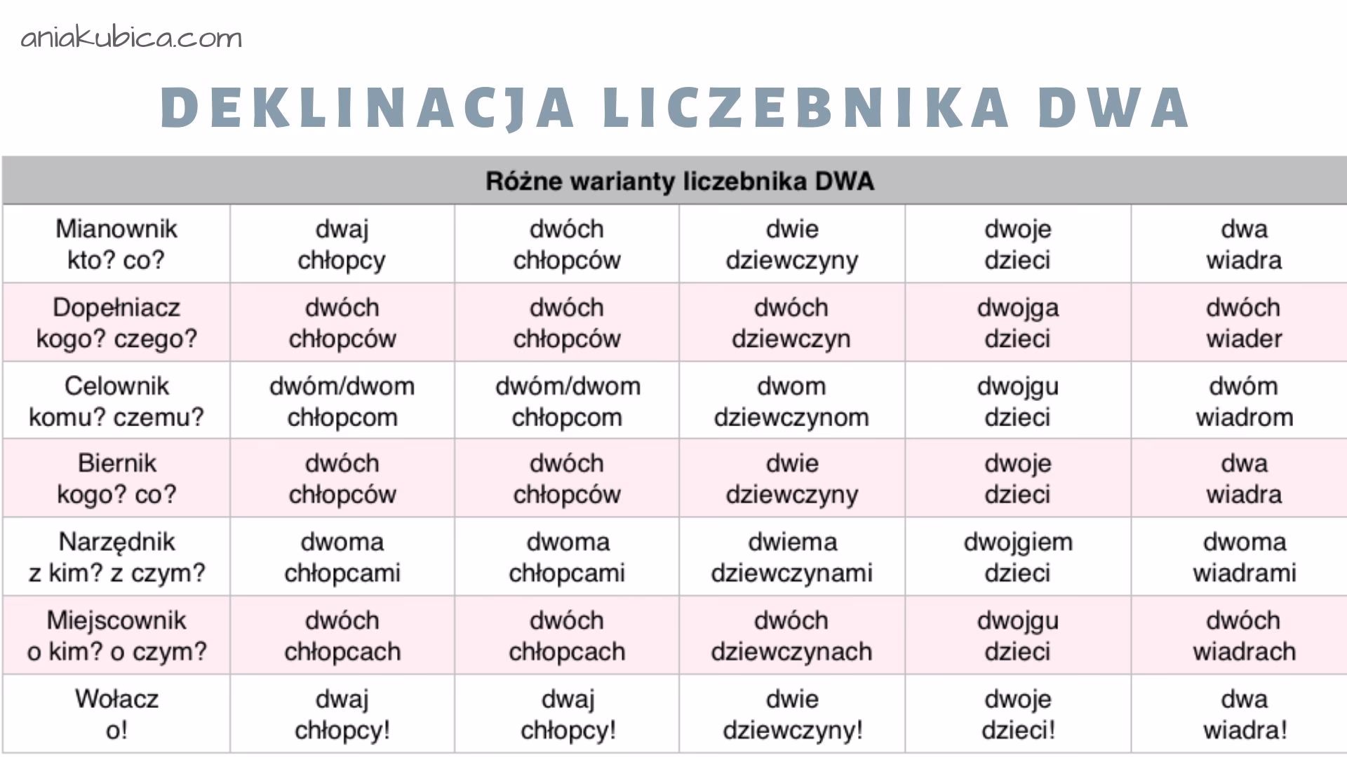Jak odmienia się liczebnik zbiorowy z rzeczownikiem?