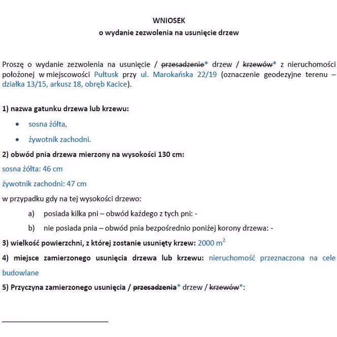 Jak umotywować wniosek o wycięcie drzewa na cmentarzu?